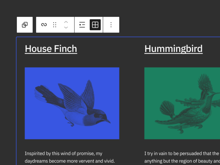 Interfață WordPress cu opțiuni de editare pentru actualizarea la versiunea 5.9